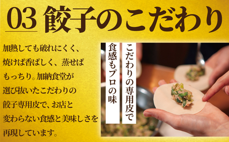 餃子 150個入り 加納食堂 冷凍【 餃子 】