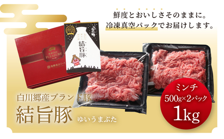 結旨豚 ミンチ 500g × 2パック(1kg) 冷凍真空パック | 肉 お肉 豚肉 国産 鍋 お鍋 白川郷 岐阜県 白川村 ブランド豚 人気 おすすめ ギフト 飛騨高山ミート 10000円 1万 [