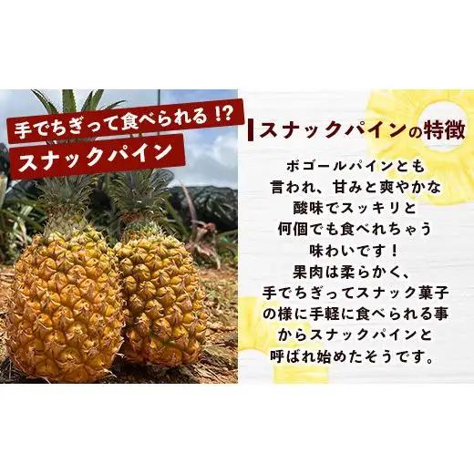 島のおいしいを贅沢に！パイナップル3種とマンゴー2種のよくばり定期便《2027年4月以降発送》
