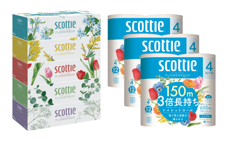 【定期便6回】【毎月お届け】【スコッティ】 ティシュー フラワーボックス 250組（5箱パック×1セット）＋フラワーパック 3倍長持ち（4ロール（シングル）4パック ×3セット） ティッシュ トイレッ