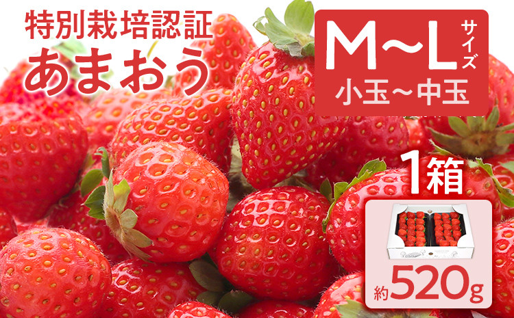 
特別栽培認証あまおう M〜Lサイズ 1箱セット あまおう イチゴ 苺 いちご フルーツ 果物 くだもの 福岡県産 お取り寄せグルメ お取り寄せ 福岡 お土産 九州 福岡土産 取り寄せ グルメ 福岡県
