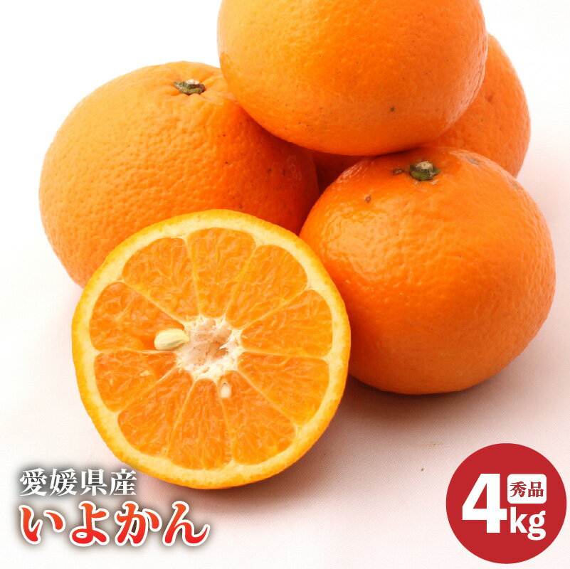 【ふるさと納税】 【2026年2月上旬より発送】愛媛県産 伊予柑 秀品 約4kg | いよかん イヨカン iyokan みかん ギフト 贈り物 蜜柑 柑橘 数量限定 愛媛県 松山市