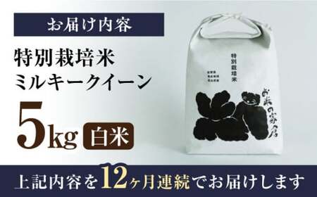 令和8年産 新米 【全12回】ミルキークイーン 5kg 白米 特別栽培米 [AQCP030]