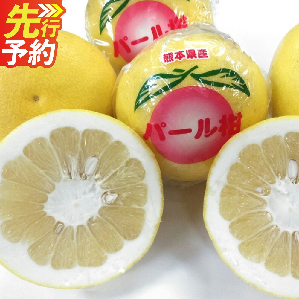 【ふるさと納税】 パール柑 【規格外品】ご家庭用 約10kg サイズ不選別 蜜柑 みかん 柑橘 果実 果物 くだもの フルーツ おやつ 熊本県産 国産 常温 送料無料【2027年1月下旬～2月下旬迄発送予定】