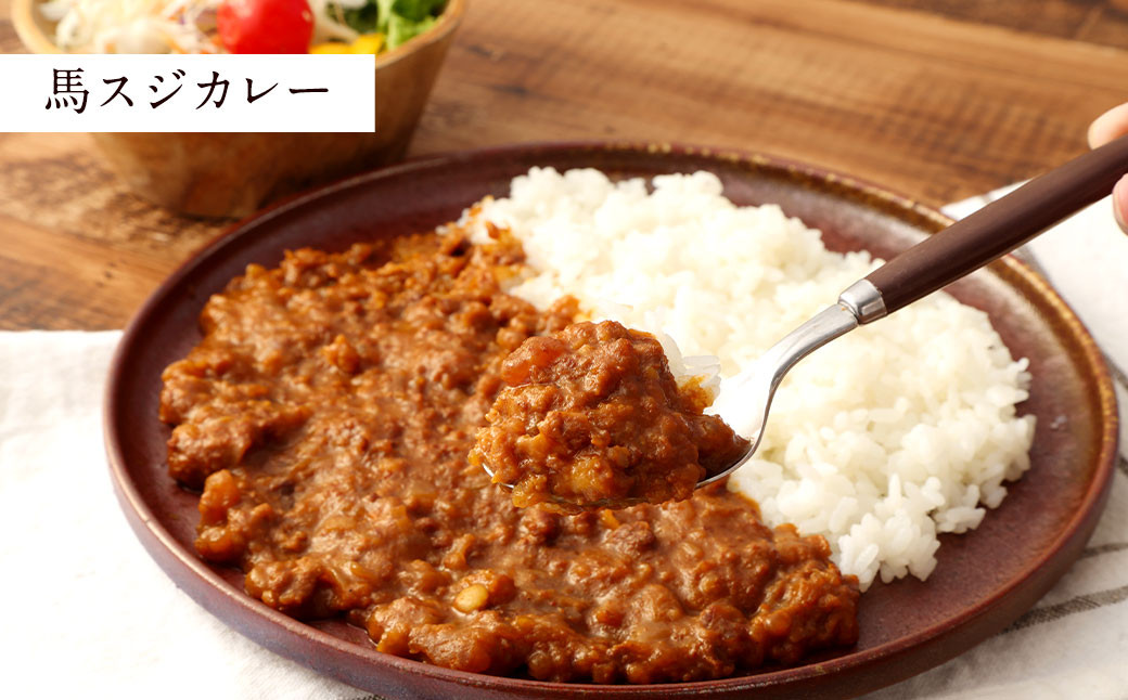 【 ご当地グルメ! 】 馬刺し燻製2種 と 馬スジ・阿蘇王カレー の セット 【 4種全6袋セット 】