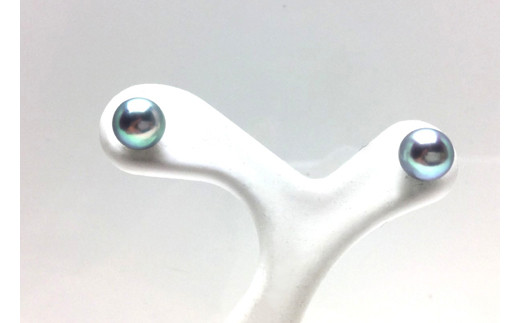 真珠 ピアス 5.0～5.5ミリ Pt900 プラチナ アクセサリー パール アコヤ真珠 伊勢 志摩 伊勢志摩 英虞湾 冠婚葬祭 慶事 弔事 結婚式 入学式 卒業式 ギフト フォーマル カジュアル 誕