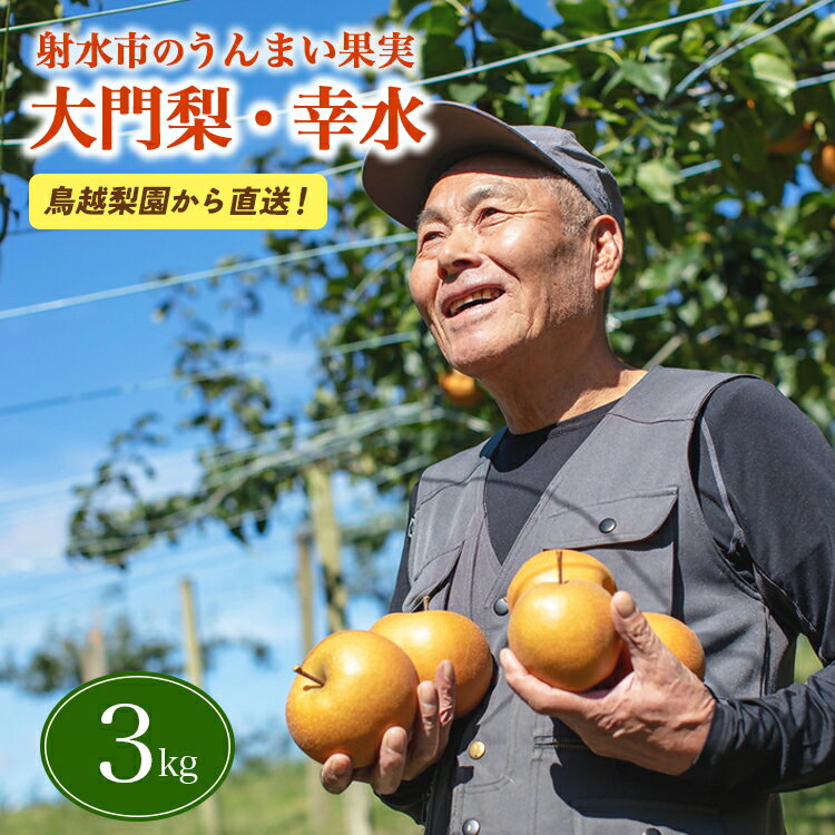 【ふるさと納税】射水の鳥越梨園から直送！【大門梨（幸水）】3kg　【梨 ナシ 果物 フルーツ 先行予約】 ※2025年8月下旬～2025年9月上旬頃に順次発送いたします