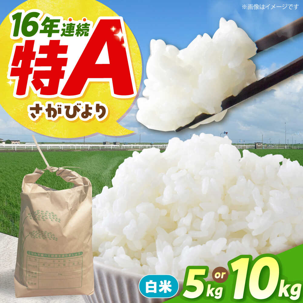 【ふるさと納税】【先行予約】令和8年産 さがびより 白米 5kg or 10kg 【佐賀県江北町産】[HAF030] / 米 白米 精米予約 特A 特A評価
