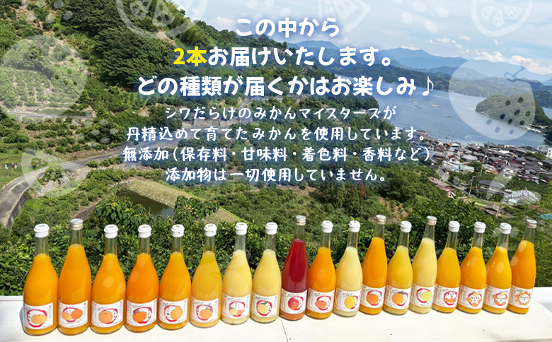 ＜一歩会 ジュエリーボックス ジュース飲み比べセット 720ml×2本入り 3回定期便＞『お申込み月の翌月より配送を開始』果汁100%ストレートジュース 愛媛 みかん ミカン 柑橘 果物 フルーツ 特