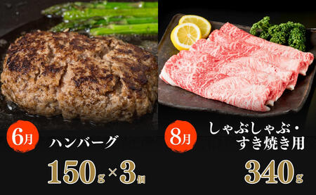 【ふるなび限定】佐賀牛定期便 偶数月に届く バラエティ 全6回 計1.9kg 肉 定期 おすすめ ギフト 贈答 黒毛和牛 ランキング 10万円 100000 N100-18 FN-Limited