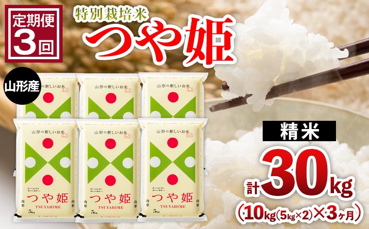 
                  【定期便3回】山形産 特別栽培米 つや姫 10kg(5kg×2)x3ヶ月(計30kg) FZ26-771
                