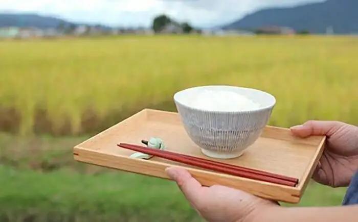 【令和7年】南魚沼産塩沢【ぴかまる】（特別栽培米８割減農薬）精米５ｋｇ｜ぴかまる