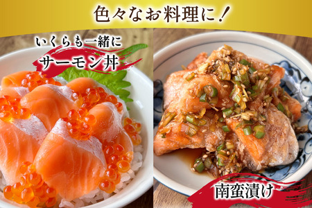 訳あり ノルウェー産 アトランティック サーモン 1kg 3-5p入 柵 おさしみ用 個包装 