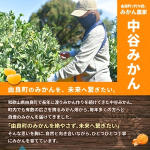 【先行予約】ゆら早生みかん 約5kg ※2025年10月中旬～10月下旬順次発送農家直送 / くだもの  果実  柑橘 果物 フルーツ 国産 和歌山県 由良町 ご家庭用 人気 おすすめ 【nktn00