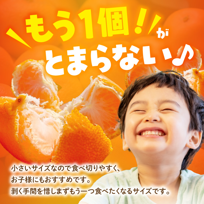 MK1061_【2025年先行予約】ゆら早生 みかん とにかく小玉 箱込 2.5kg ( 内容量2.3kg ) 2Sサイズ以下 秀優混合 有田みかん 和歌山県産