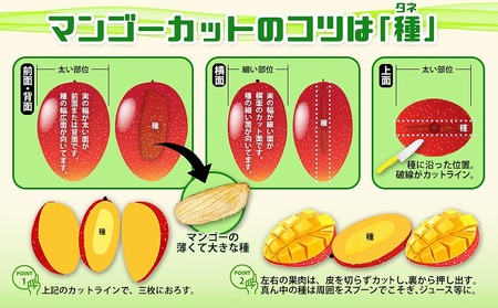 【2026年発送】久志マンゴー農園のアップルマンゴー家庭用（約2kg） アーウィン 果物 甘い 夏 濃厚 ギフト Mango ランキング 完熟 お気に入り 美味しい 人気 おすすめ フルーツ 沖縄県 
