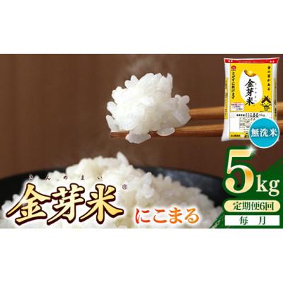ふるさと納税 安来市 【毎月定期便】BG無洗米・金芽米にこまる5kg全6回