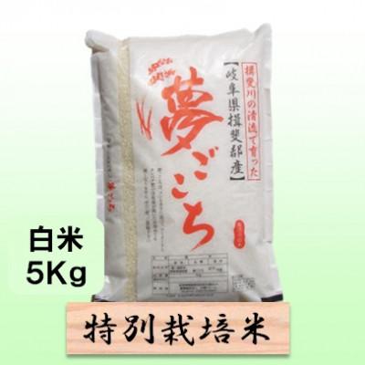 ふるさと納税 池田町 【令和7年産】特別栽培米 5kg【白米】(夢ごこち)