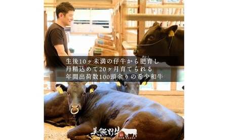 【4回定期便A】牛肉 美熊野牛 牛肉定期便【okad-tkb0019】