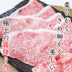 【2024年4月末までに配送】「牛肉の王様」A5等級鹿児島県産黒毛和牛サーロインスライス1kg(200g×5パック)！ b7-015-2404