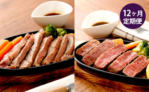 【12ヶ月定期便】くまもとあか牛 ヒレステーキ 約300g ・ ロースステーキ 約400g 計約8.4kg 肉 牛肉 あか牛 赤牛 赤身 ブランド牛 ステーキ ヒレ ロース 国産 冷凍