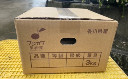 はれひめ みかん 柑橘 果物 はれひめ【約3kg】