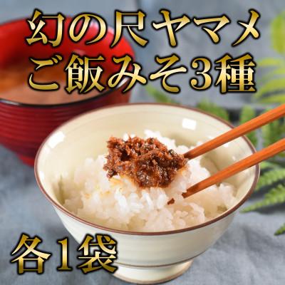 ふるさと納税 三股町 幻の尺ヤマメご飯みそ3種セット各100g【MI774】
