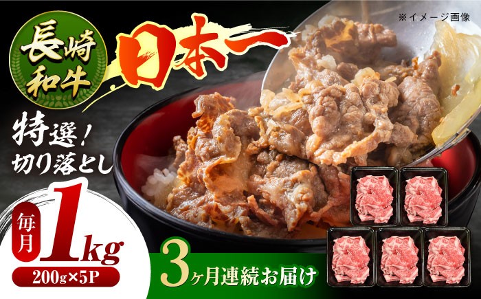 
            【3回定期便】長崎和牛 特選切り落とし A4-A5 約1kg（200g×5パック） 長与町/meat shop FUKU [ECS018] 切り落とし きりおとし 牛肉 1kg すきやき 国産 和牛 A4 A5 国産切り落とし すき焼き 冷凍 小分け 定期便 定期 ていきびん
          