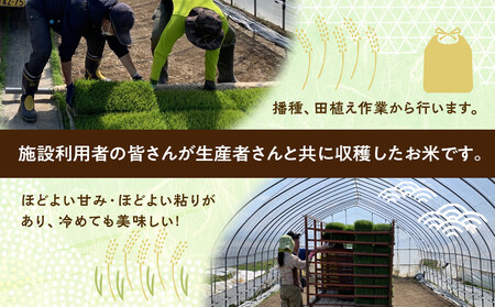 【6回定期便】ふくしえんの白米 ななつぼし 5kg 北海道 旭川市 定期便 精米 ブランド米 _05686