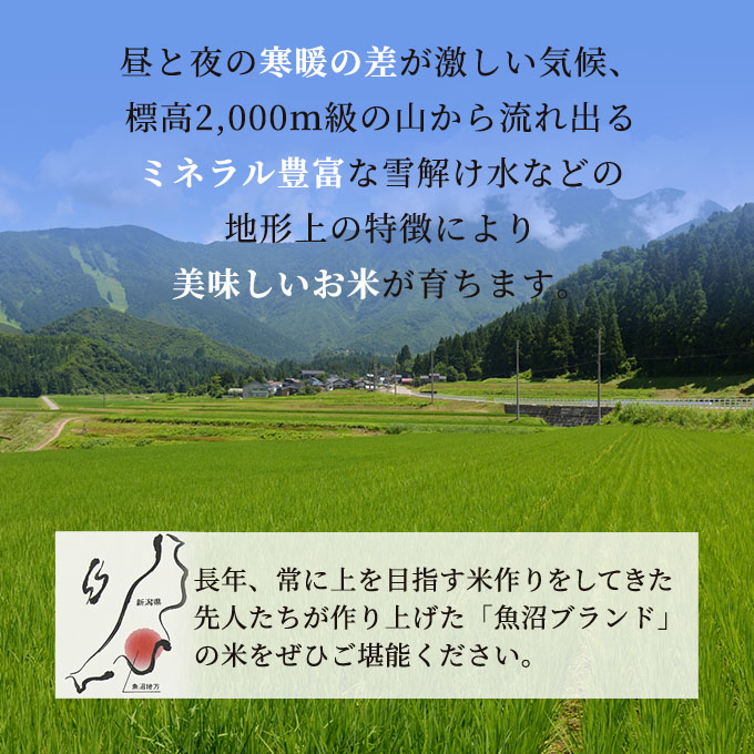 令和7年産 雪室貯蔵 無洗米 お米マイスター厳選 魚沼産 コシヒカリ 1等米 2.5kg　米 こしひかり 白米