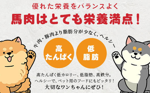 【定期便3回】熊本県内加工 ペットフード セット 《 馬肉 切り落とし 1kg & 馬刺し ジャーキー 100g(50g×2) 》 ドッグ フード ペット おやつ 冷凍 詰め合わせ 041-0514