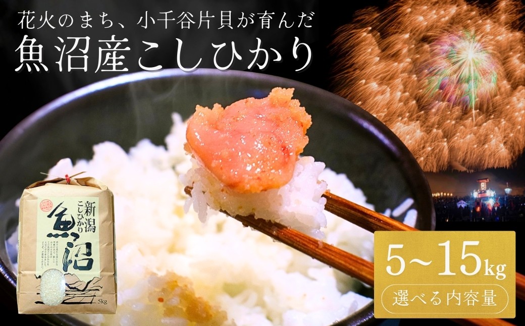 
                  魚沼産コシヒカリ 米 白米 令和7年産 コシヒカリ 選べる 5kg 10kg 15kg 米萬商店 | 四尺玉の町 片貝町 産地直送 厳選米 新潟県産コシヒカリ 新潟県産こしひかり 魚沼コシヒカリ お米 米 こしひかり 白米 精米 ブランド米 特A評価 新潟県 小千谷市【0002-KM00SV00-02】
                