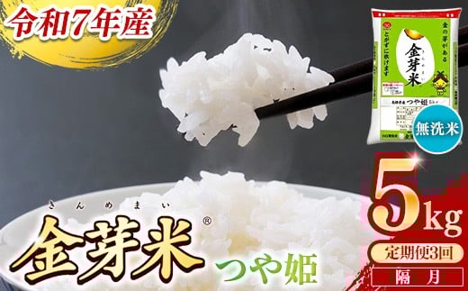 
            【定期便】BG無洗米・金芽米つや姫 5kg×3回 （隔月）【令和7年産 2ヶ月に1回 配送 6ヶ月 計15kg 半年間 島根県産 健康 節水 時短 アウトドア キャンプ 東洋ライス おすすめ 島根県 安来市】
          