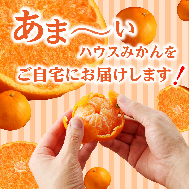 ★予約受付★【2025年6月以降配送】佐賀県産ハウスみかん　約1.5kg【件数限定】