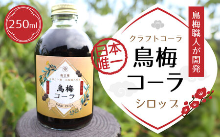 鳥梅コーラシロップ 梅古庵 コーラ 梅 シロップ 奈良県 コーラ 梅 シロップ  コーラ 梅 シロップ 10-032 コーラ 梅 シロップ