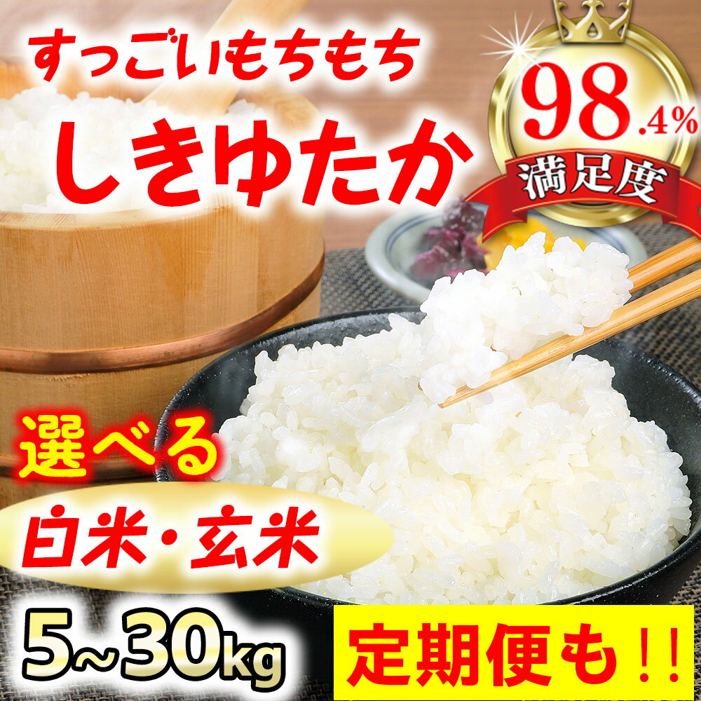 【ふるさと納税】【新米】【7年産】すっごいもちもち 「しきゆたか」 近江米 5kg / 10kg / 30kg 定期便 選べる 国産 滋賀県産 白米 玄米