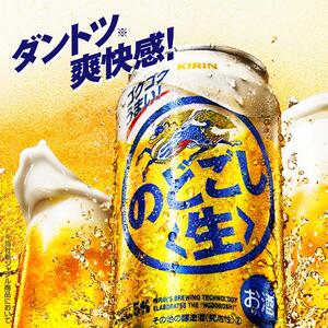 キリン のどごし〈生〉500ml×48本　【 お酒 アルコール アルコール飲料 晩酌 家飲み 宅飲み 飲み会 集まり バーベキュー BBQ イベント 飲み物 缶ビール 】