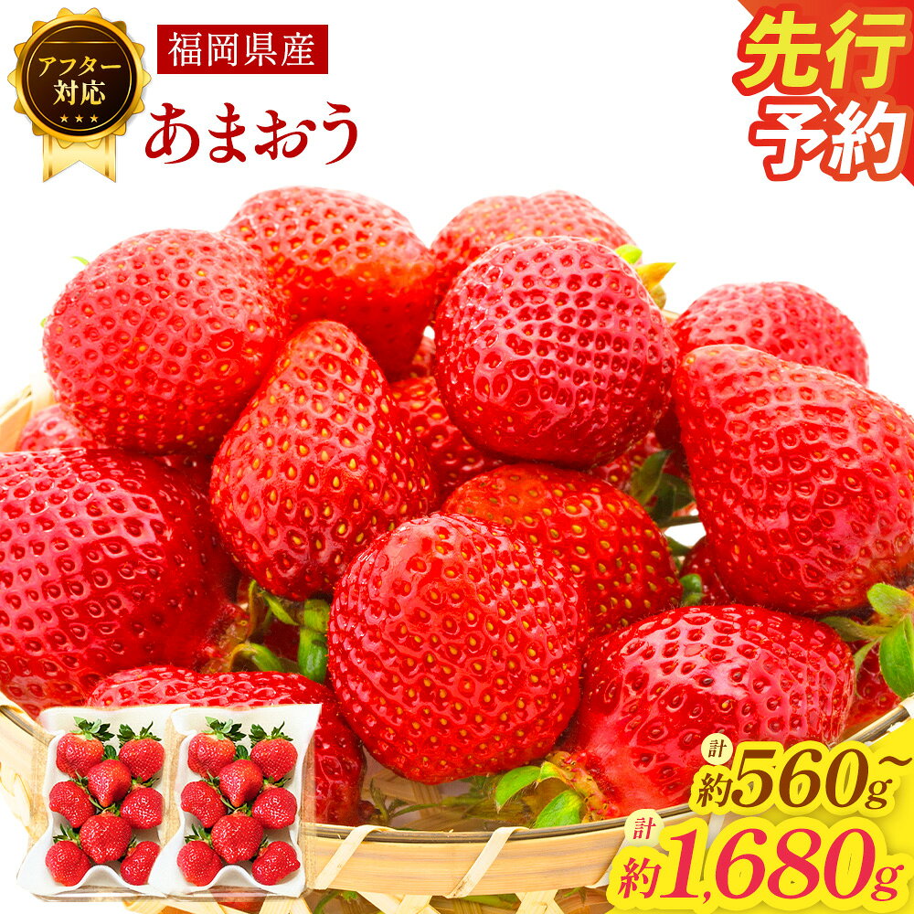 【ふるさと納税】【アフター対応】あまおう 〈選べる〉 約560g または 約1680g 1パックあたり約280g 2パック 6パック 6000円 〜 12000円 6千円 〜 1万2000円 いちご イチゴ 苺 フルーツ 果物 国産 福岡県産 冷蔵 GAP認定 【2027年1月上旬～3月下旬 / 2027年4月 発送予定】