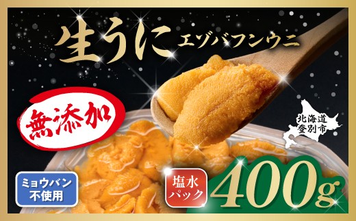 無添加 極上 エゾバフンウニ 塩水パック 400g 配送期間B：10月下旬～11月下旬迄 高級 うに ウニ 雲丹 生うに バフンウニ 塩水 パック詰め ふるさと納税 北海道 登別市