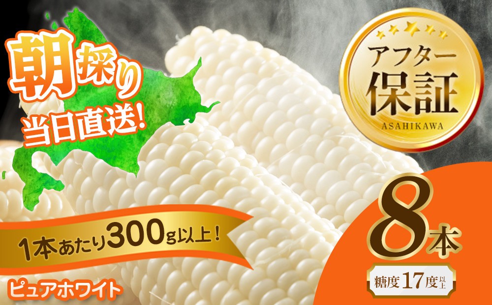 
            【2026年先行予約】白いとうもろこしピュアホワイト 8本 2.4kg（2026年8月下旬から発送開始予定）【 人気 北海道産 糖度 生 野菜 スイートコーン 産地直送 バーベキュー BBQ コーン 旬 お取り寄せ 旭川市 北海道 送料無料 】_04559
          