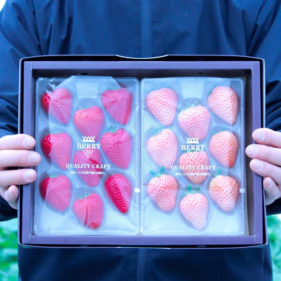 ＜BERRY＞ 完熟紅白苺セット「白いちご淡雪/よつぼし」