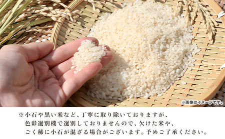 ＜愛媛県西予市産 コシヒカリ 5kg＞国産 愛媛県産 宇和町産 宇和米 こしひかり お米 米 コメ こめ 白米 精米 ご飯 新鮮 5kg 5キロ 選べる 特産品 大塚農園 愛媛県 西予市【常温】『20