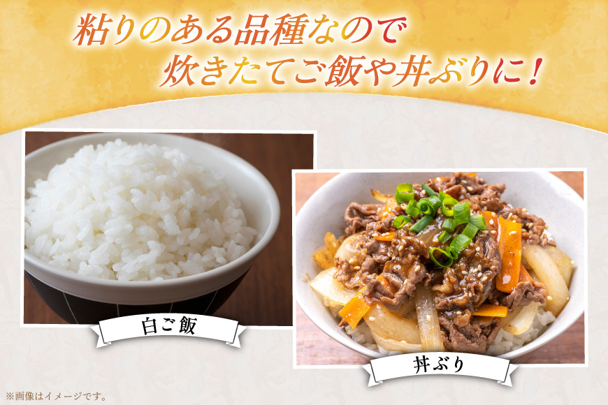米 優良金賞 ゆめぴりか 5kg 3回 定期便 総計15kg [笹田ファーム 北海道 剣淵町 14656373] 米 お米 精米 白米 ご飯 ごはん