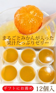 紀州和歌山まるごとみかんゼリー 145g×12個（6個入×2箱） ※着日指定不可 ※2024年10月上旬頃以降に順次発送予定