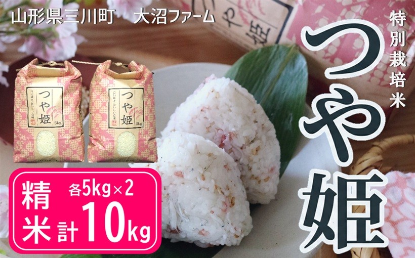 
                  【令和8年産・精米】大沼ファームの特別栽培米つや姫10kg　※10月中旬頃から順次配送予定
                