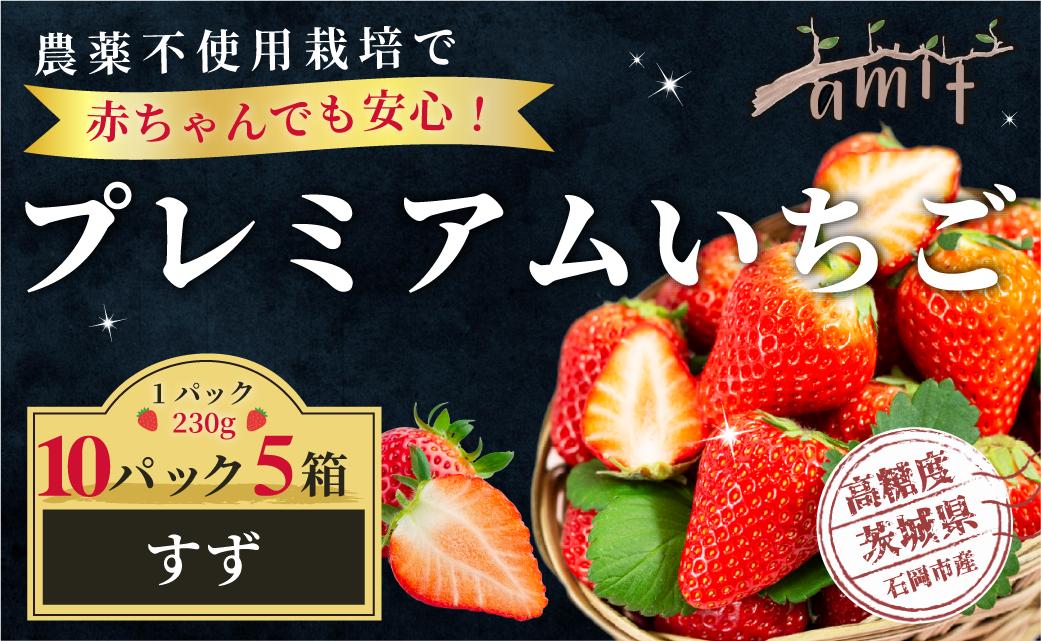 
                  農薬を使わず育てた安心安全 イチゴ すず 10パック いちご 苺 ナノバブル水素水使用 農薬不使用 希少 国産 果物 フルーツ くだもの 冬 旬 産地直送 農家直送 産直 甘い デザート スイーツ 家庭用 贈答 贈答用 茨城 茨城県 石岡市 (A14-009)
                