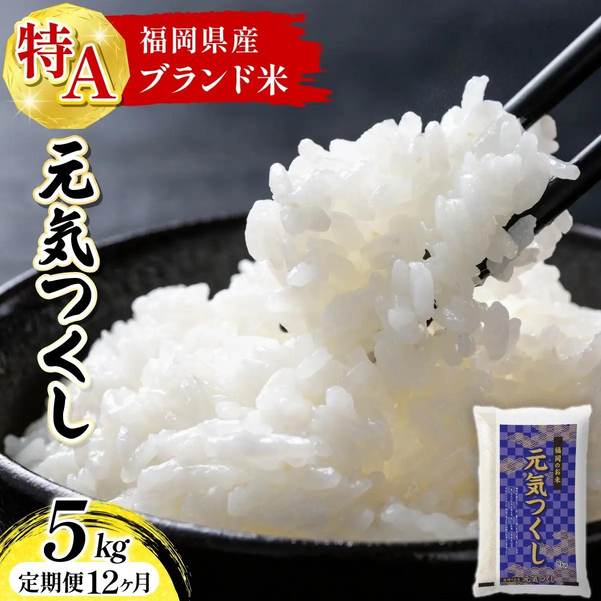 【定期便：12ケ月】令和７年産 福岡県産米 元気つくし 5kg 精米 CY011sub12