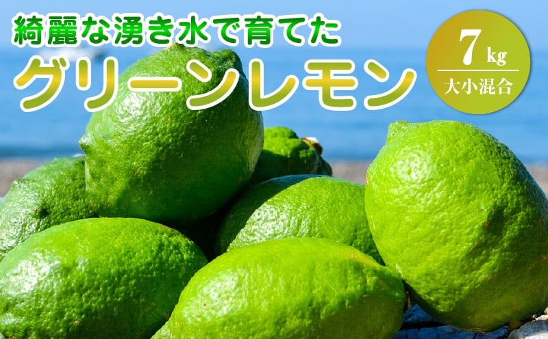 
                  EA6113_【2026年先行予約】 グリーンレモン 内容量 7kg 大小混合 レモン 柑橘 綺麗 湧き水 フレッシュ 爽やか 酸味 ジューシー 香り こだわり 料理 お酒に合う レモンサワー 炭酸水 フルーツ お取り寄せ 和歌山県 湯浅町 送料無料
                