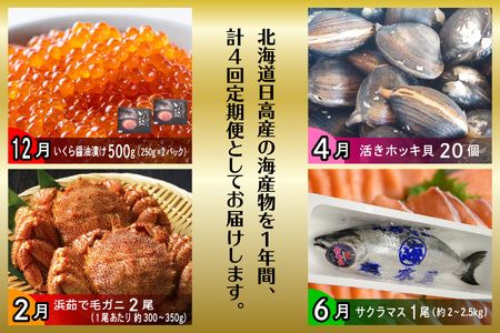 ＜12月から順次発送＞【 定期便 4回 】 北海道産 海の幸 定期便 いくら 500ｇ ( 250 ｇ × 2 パック ) 毛がに 2尾 活きホッキ貝 20個 サクラマス まるごと 1尾 北海道 新ひ