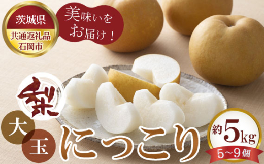 No.799 【先行予約】梨　大玉にっこり　約5kg5～9玉　石岡市産【茨城県共通返礼品 石岡市】 ／ 旬 新鮮 なし ナシ 果物 フルーツ 茨城県 特産品